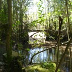 Puente de San Juan, Parque Pereyra