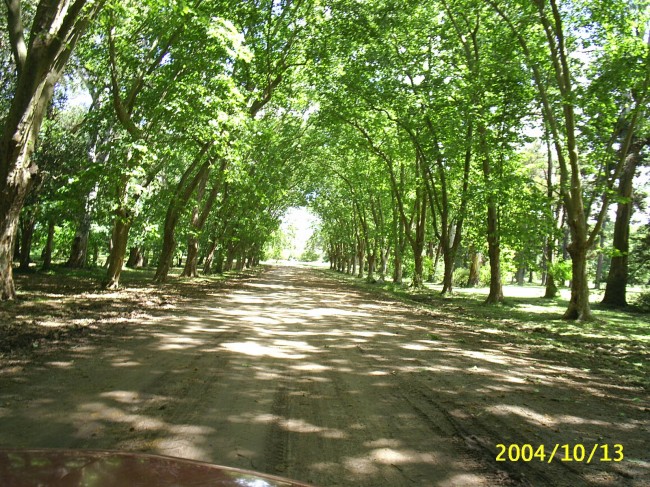 Parque Pereyra Iraola